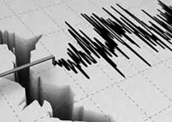 Foto: Dampak Gempa Magnitudo 7,7 Sulawesi Utara Basarnas Kerahkan Tim Gabungan untuk Pemantauan Lahan 1