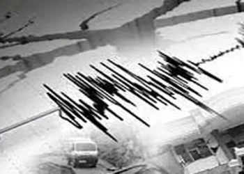 ilustrasi gempa bumi.(Ist)