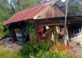 Foto: Beranda 40