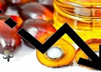 Foto: Harga Komoditas Unggulan Sumut Merosot Imbas Kesepakatan Damai Iran dan AS 8