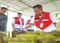 Foto: Beranda 32