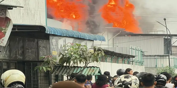 Foto: Beranda 33