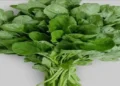 Foto: Mengenal Batas Waktu Daya Tahan Sayur Bayam Segar dan Matang untuk Menjaga Kualitas Nutrisinya 10