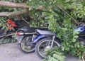 Foto: Beranda 36