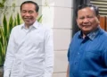 Foto: Beranda 40