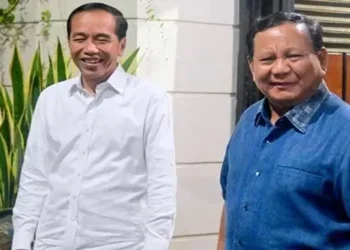 Foto: Presiden Prabowo Subianto Beri Ucapan Selamat Ulang Tahun ke-65 untuk Jokowi Melalui Media Sosial 6