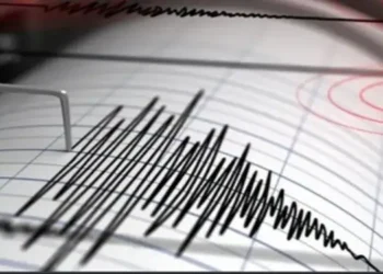 Foto: Sarmi Papua Diguncang Gempa Magnitudo 5,4 BMKG Pastikan Tidak Berpotensi Tsunami 5