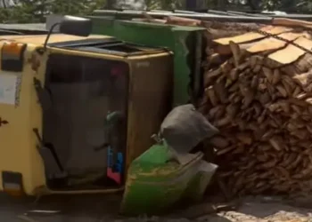 Foto: Truk Pengangkut Kayu Terbalik di Tikungan Jalan Lintas Medan–Lubuk Pakam Tanjung Morawa 19