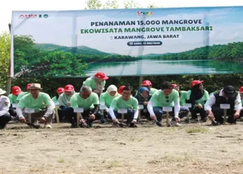 Foto: AHM Bangun Rumah Bibit dan Tanam 15 Ribu Mangrove di Karawang 8