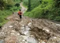 Foto: Beranda 39