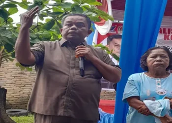 Foto: Binsar Simarmata Ajak Warga Aktifkan Identitas Kependudukan Digital 27