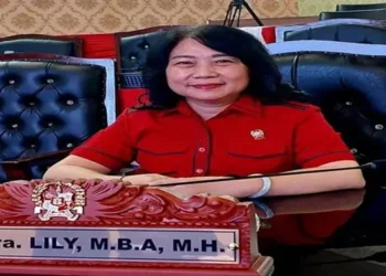 Foto: Dr Lily Dorong Wali Kota Medan Lakukan Terobosan Baru Selesaikan Banjir 27