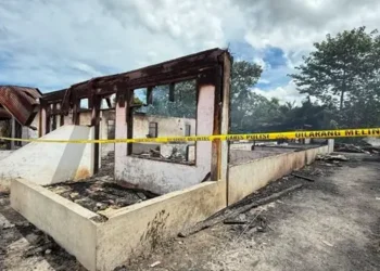 Foto: Empat Rumah Warga di Pintu Bosi Tapanuli Utara Hangus Terbakar 21