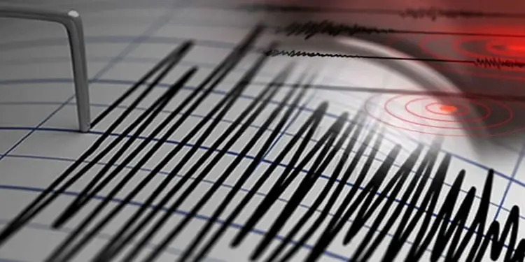 Foto: ilustrasi gempa bumi.