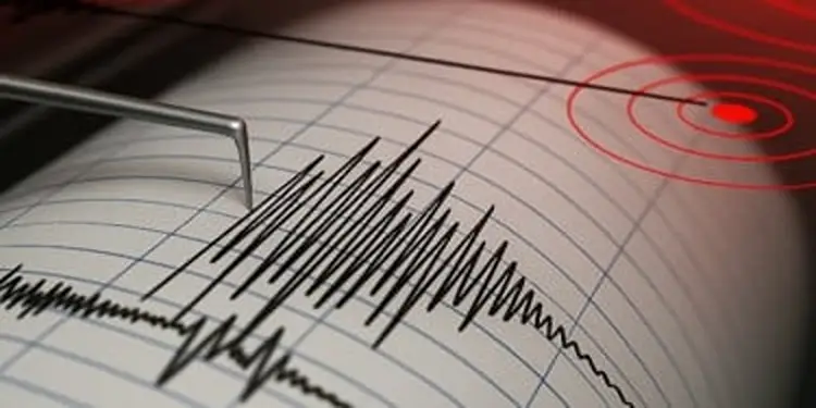 Foto: ilustrasi gempa bumi.(istimewa)
