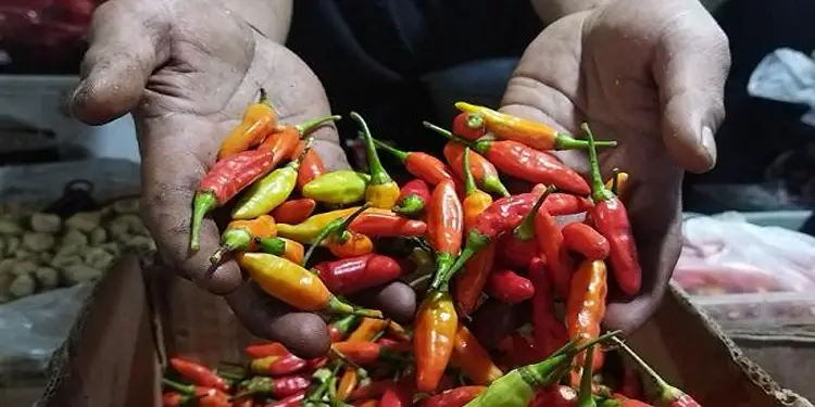 Foto: Kenaikan harga cabai rawit belakangan ini lebih dipengaruhi oleh faktor persediaan yang menurun.(Foto:Okezone)