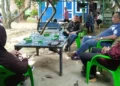 Foto: Beranda 36