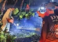 Petugas bekerja cepat menyingkirkan dahan serta batang pohon yang melintang guna membuka kembali akses jalan yang sempat terhambat.(Istimewa)