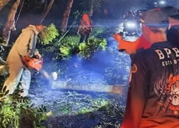Petugas bekerja cepat menyingkirkan dahan serta batang pohon yang melintang guna membuka kembali akses jalan yang sempat terhambat.(Istimewa)
