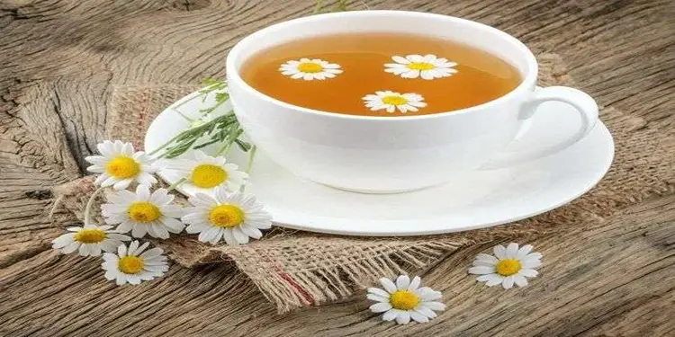 Foto: ilustrasi teh chamomile.(Foto:Pinterest)