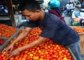 Foto: Sumut Catat Inflasi 0,23 Persen pada Juni, Kenaikan Harga Pertamax Terbendung Penurunan Harga Tomat 6