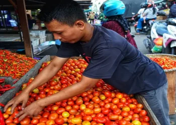 Foto: Sumut Catat Inflasi 0,23 Persen pada Juni, Kenaikan Harga Pertamax Terbendung Penurunan Harga Tomat 2